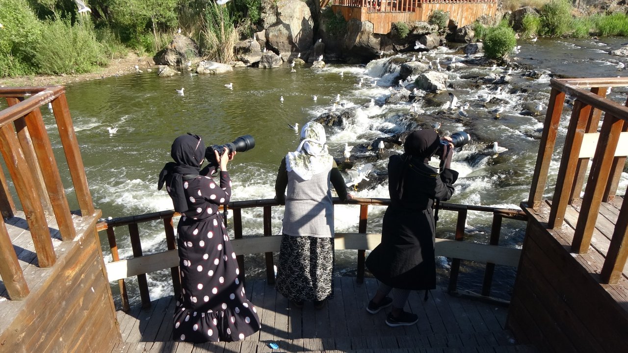 Emek dolu yolculuk! Van'da inci kefali göçü devam ediyor