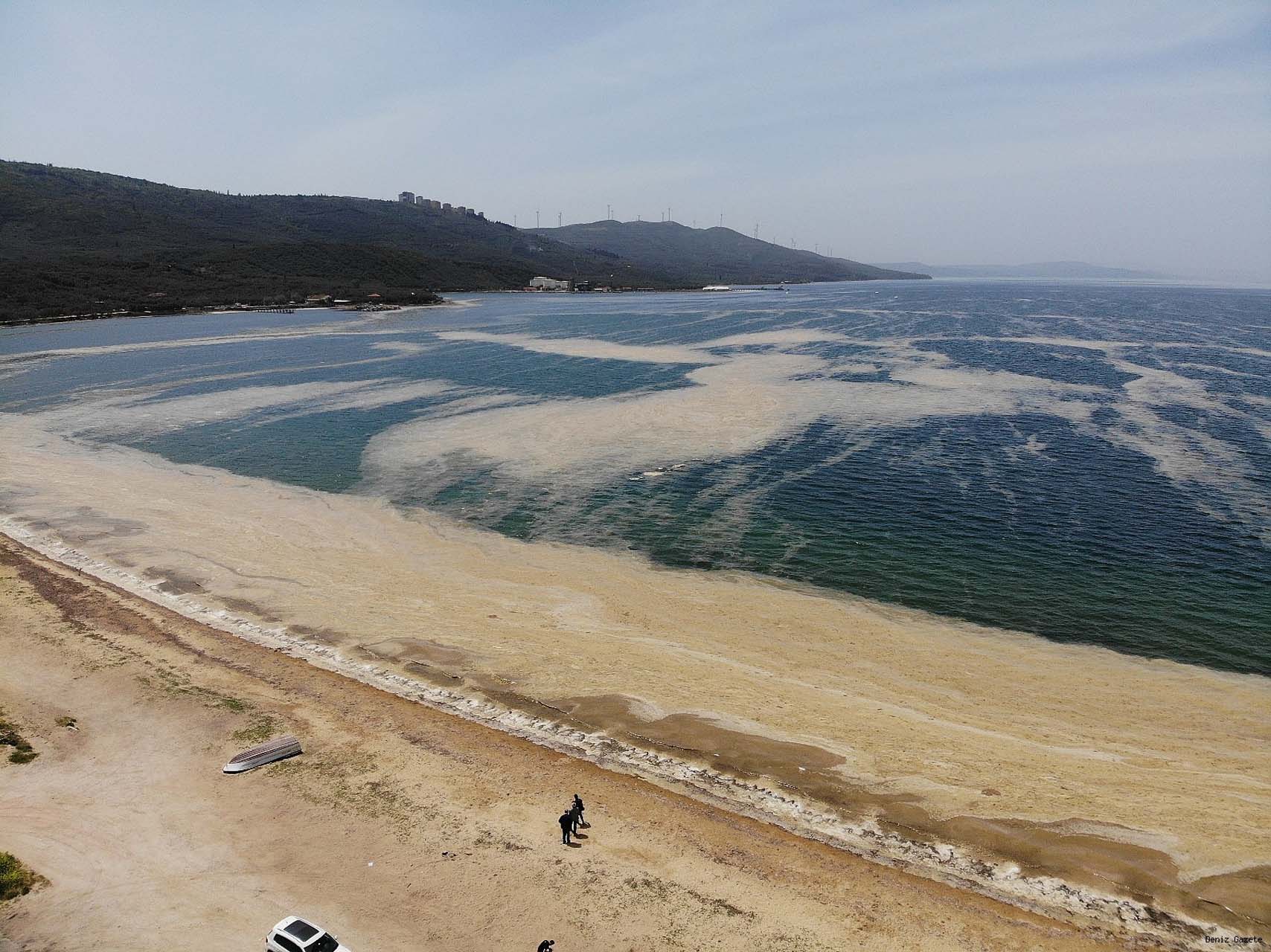 Son dakika | Bakan Kurum, müsilajla mücadeledeki son durumu açıkladı!