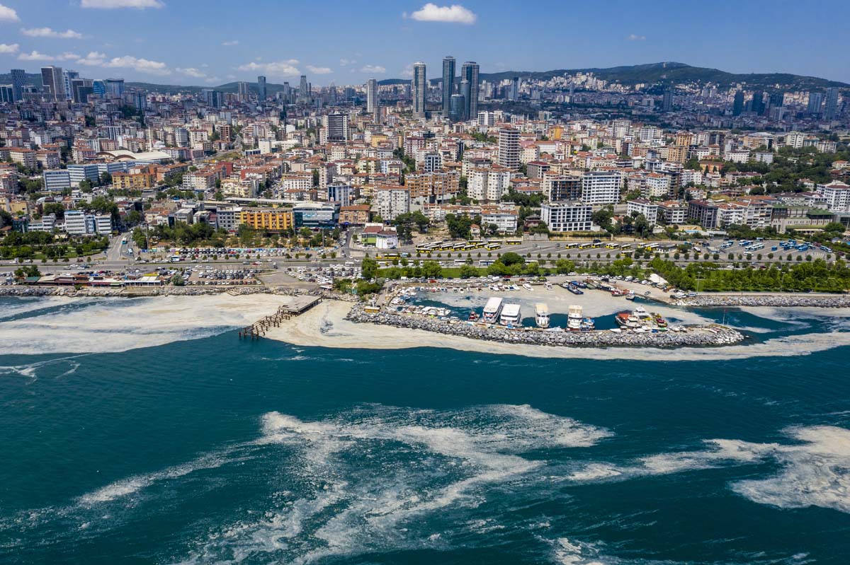 Deniz salyasında yeni gelişme: İçinde mikroalglerin florası tespit edildi! Kozmetik jel ve kremlerde kullanılabilir!