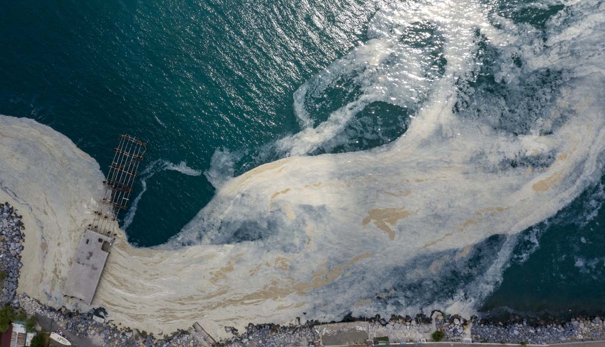 Deniz salyasında yeni gelişme: İçinde mikroalglerin florası tespit edildi! Kozmetik jel ve kremlerde kullanılabilir!