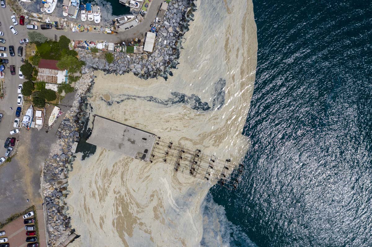 Deniz salyasında yeni gelişme: İçinde mikroalglerin florası tespit edildi! Kozmetik jel ve kremlerde kullanılabilir!