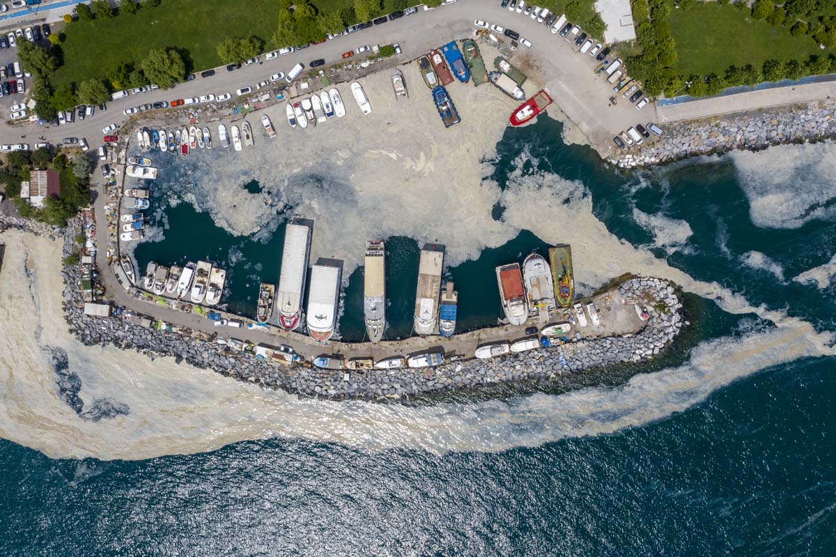 Deniz salyasında yeni gelişme: İçinde mikroalglerin florası tespit edildi! Kozmetik jel ve kremlerde kullanılabilir!