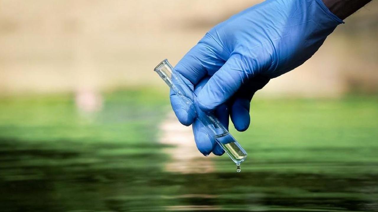 Kolera salgını yeniden dirildi! Nijerya'da ölü sayısı 37'ye çıktı... Önlem alınmalı!