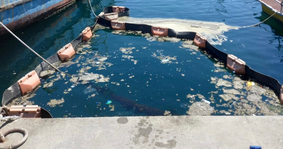 Müsilajda sevindiren gelişme! İstanbul Üniversitesi, müsilajı deniz bakteri izolatlarıyla temizlemeyi başardı