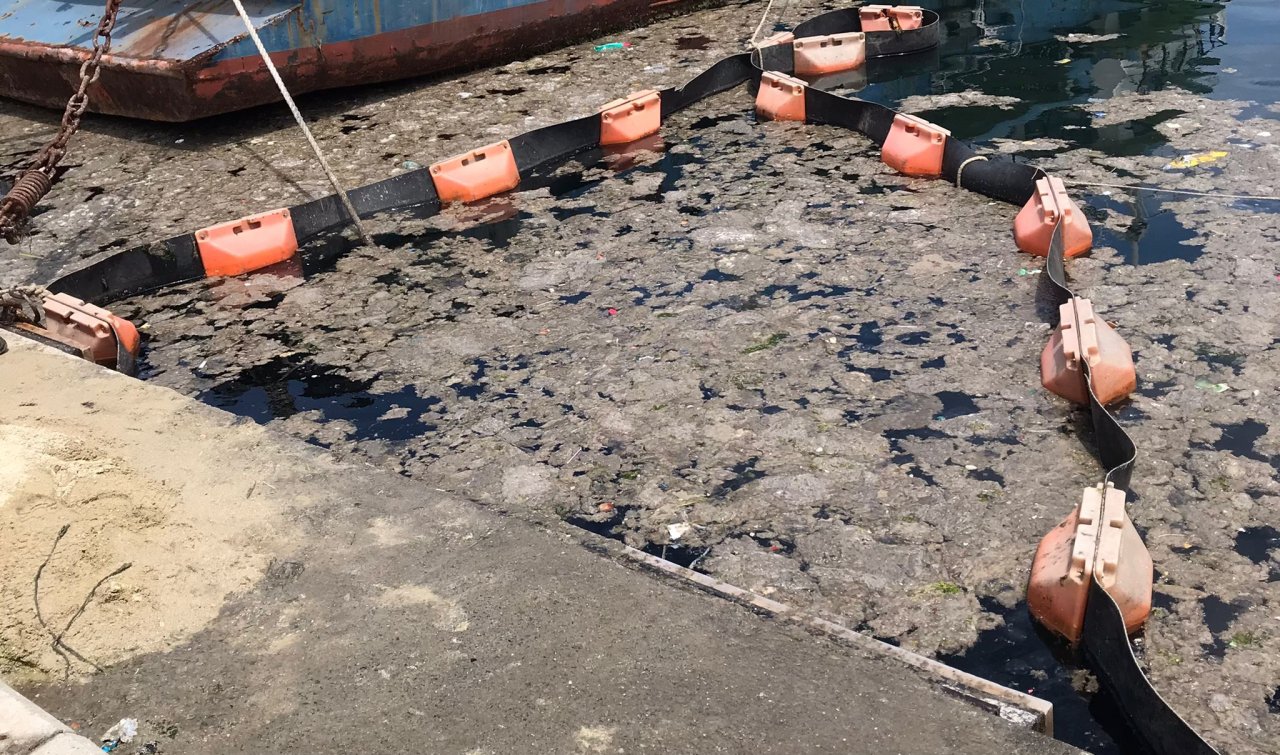 Müsilajda sevindiren gelişme! İstanbul Üniversitesi, müsilajı deniz bakteri izolatlarıyla temizlemeyi başardı