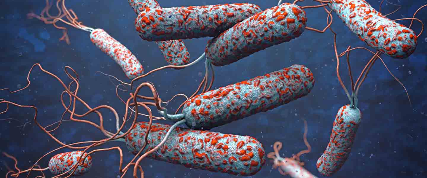 Kolera salgını yeniden dirildi! Nijerya'da ölü sayısı 37'ye çıktı... Önlem alınmalı!