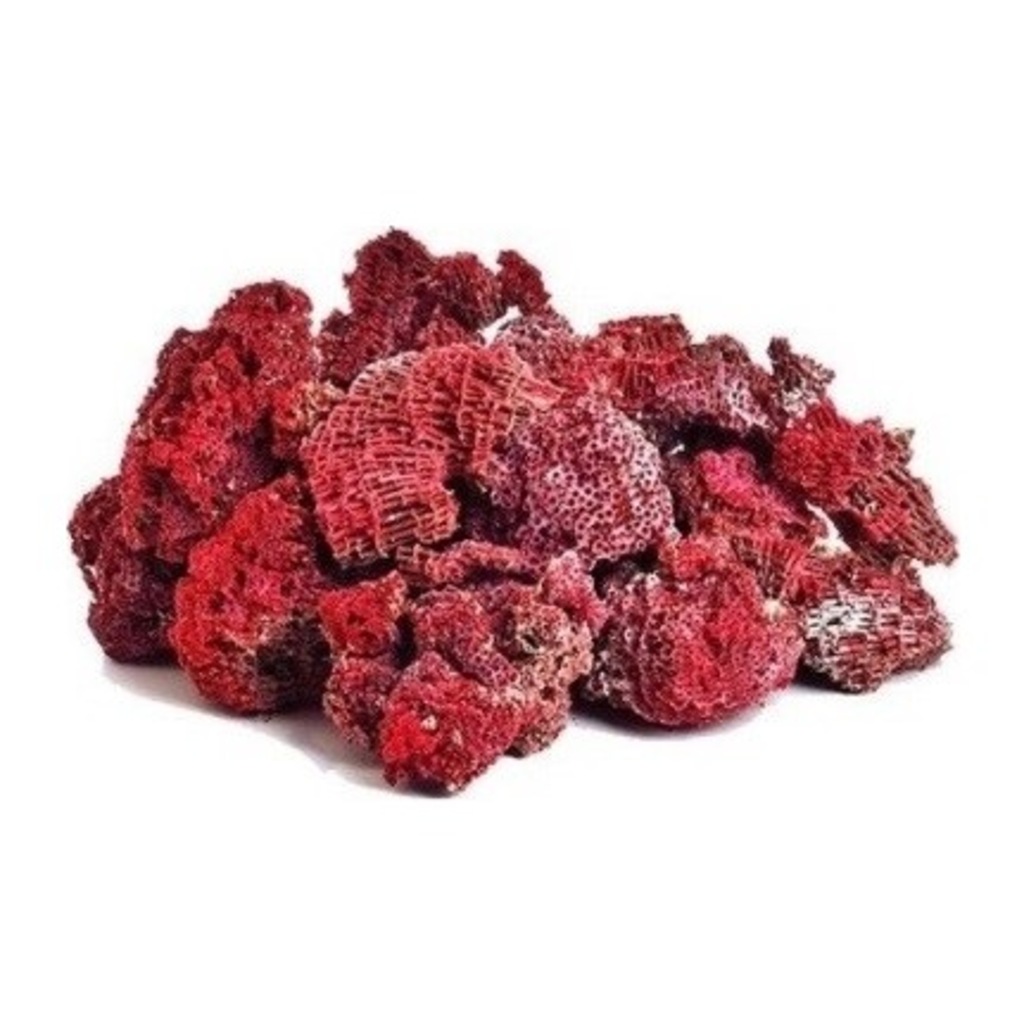 Halk arasında yoğun rağbet görüyor! Kardeş kanı bitkisinde büyük tehlike: Organ yetmezliğine neden oluyor