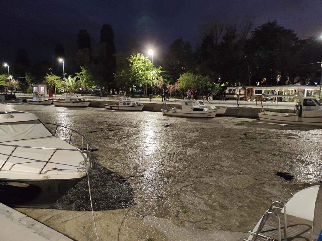 Müsilajdan kurtulmak için adım adım! Bakan Kurum duyurdu: 7 günde 2 bin 684,5 metreküp müsilaj temizlendi!