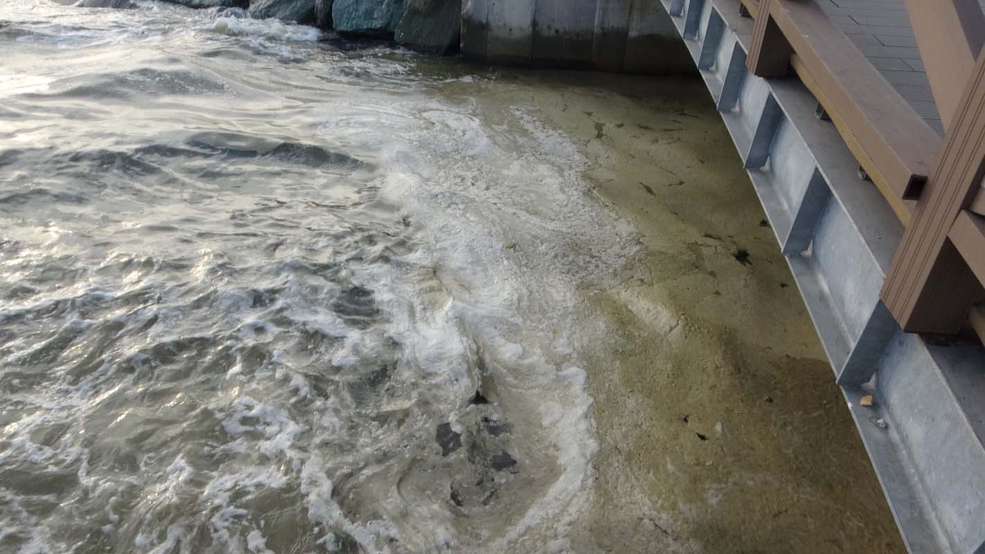 Müsilajdan kurtulmak için adım adım! Bakan Kurum duyurdu: 7 günde 2 bin 684,5 metreküp müsilaj temizlendi!