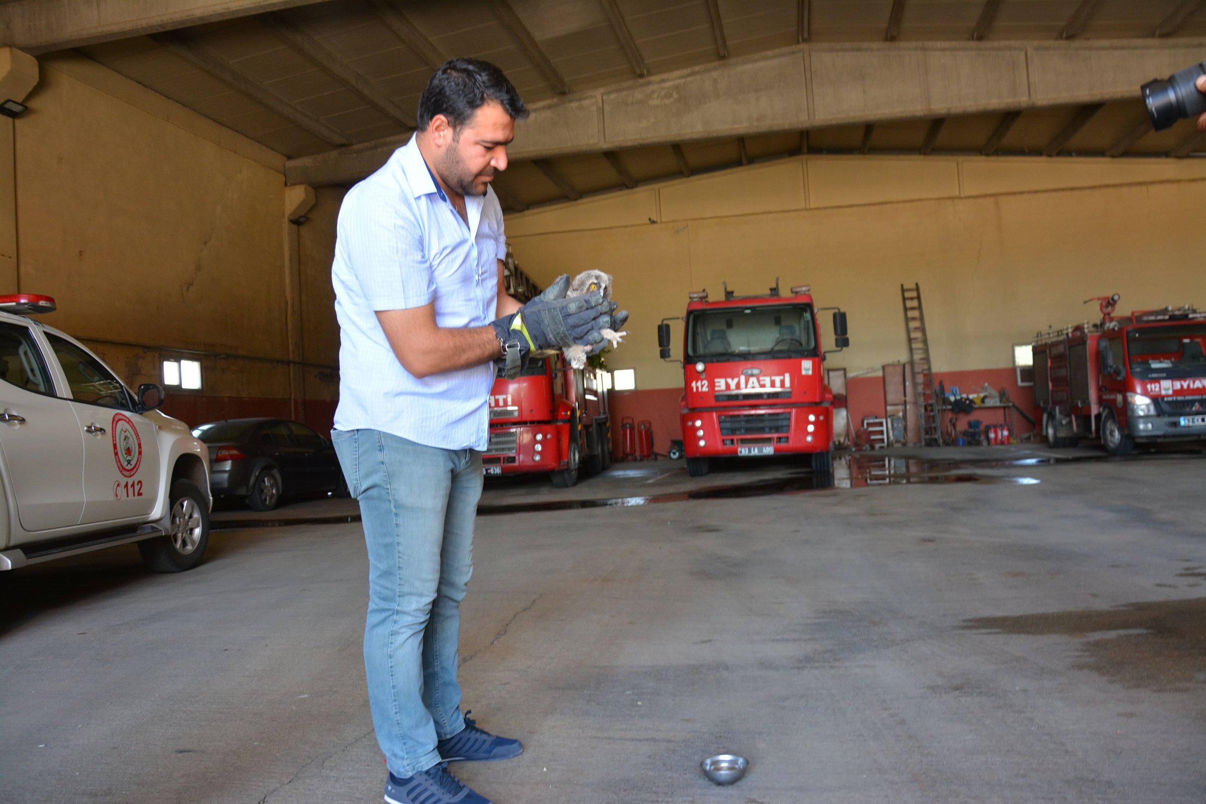 Masum bakışlarıyla mest etti! Ağaçta asılı kalan sevimli baykuş yavrusunun yardımına itfaiye koştu