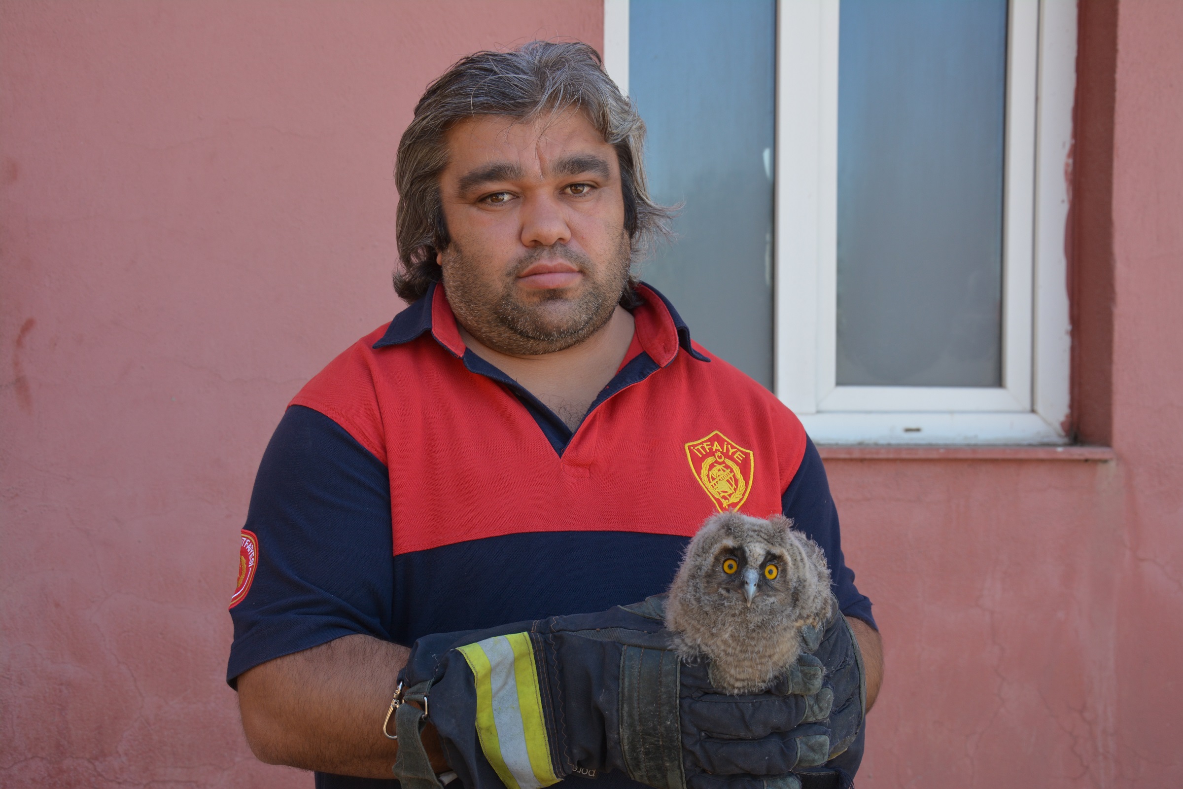 Masum bakışlarıyla mest etti! Ağaçta asılı kalan sevimli baykuş yavrusunun yardımına itfaiye koştu