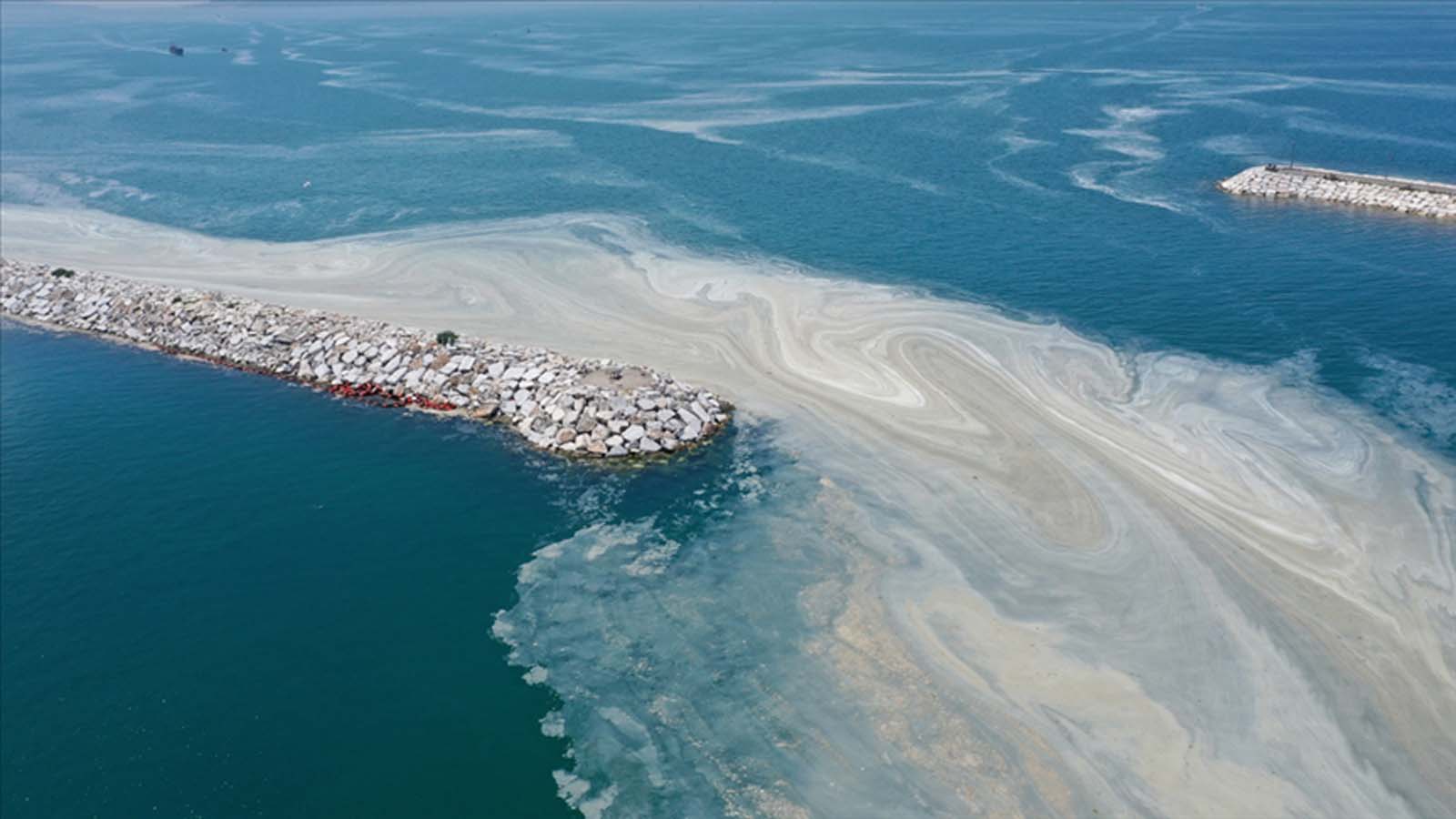 Müsilaj sorunu geliyorum demiş, görememişiz! 2 yıl önceki TÜBİTAK raporunda kirlilik detayı!