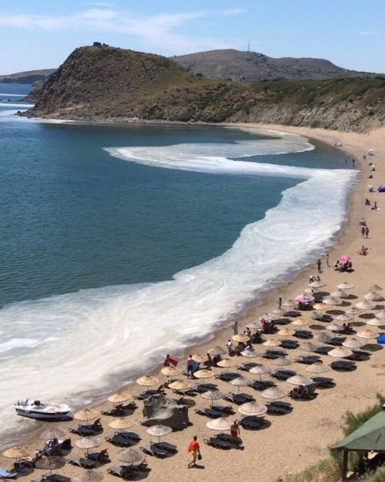 Korktuğumuz başımıza geldi! Müsilaj Ege kıyılarına kadar ulaştı! Turizm noktalarında tedirginlik hakim