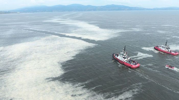 Korktuğumuz başımıza geldi! Müsilaj Ege kıyılarına kadar ulaştı! Turizm noktalarında tedirginlik hakim