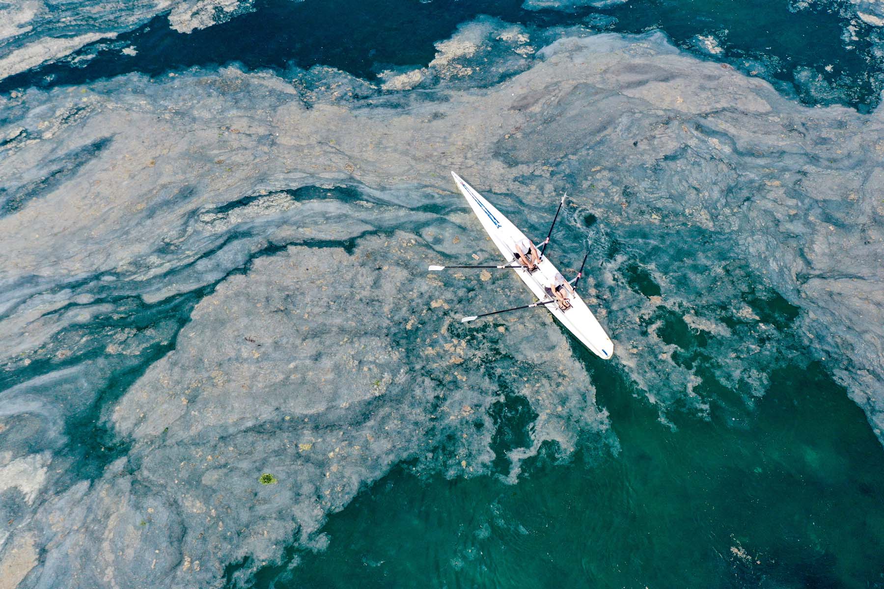 Bakan Kurum'dan kötü haberi verdi! Müsilaj nedeniyle balık ve midye yasağı gelebilir