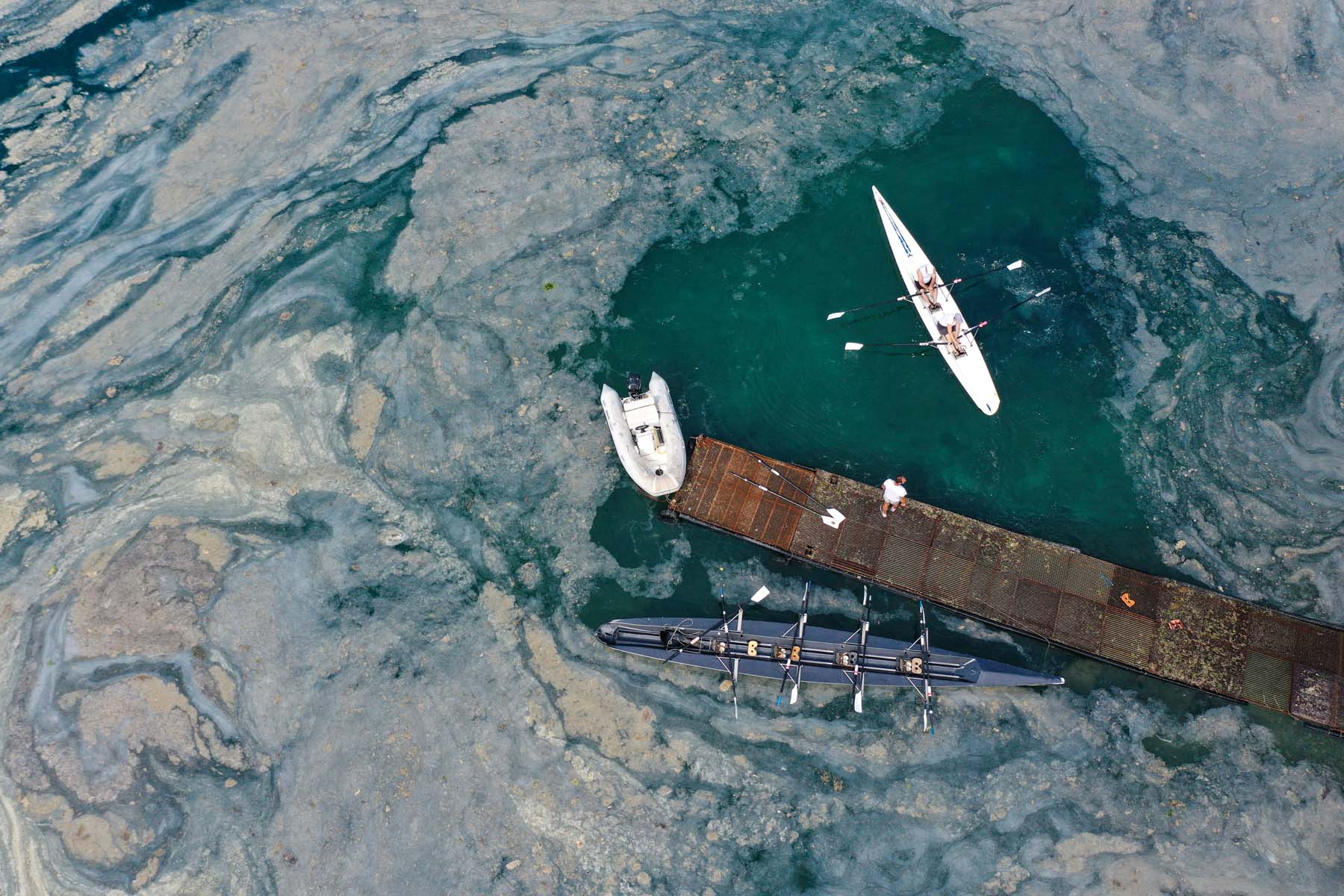 Bakan Kurum'dan kötü haberi verdi! Müsilaj nedeniyle balık ve midye yasağı gelebilir