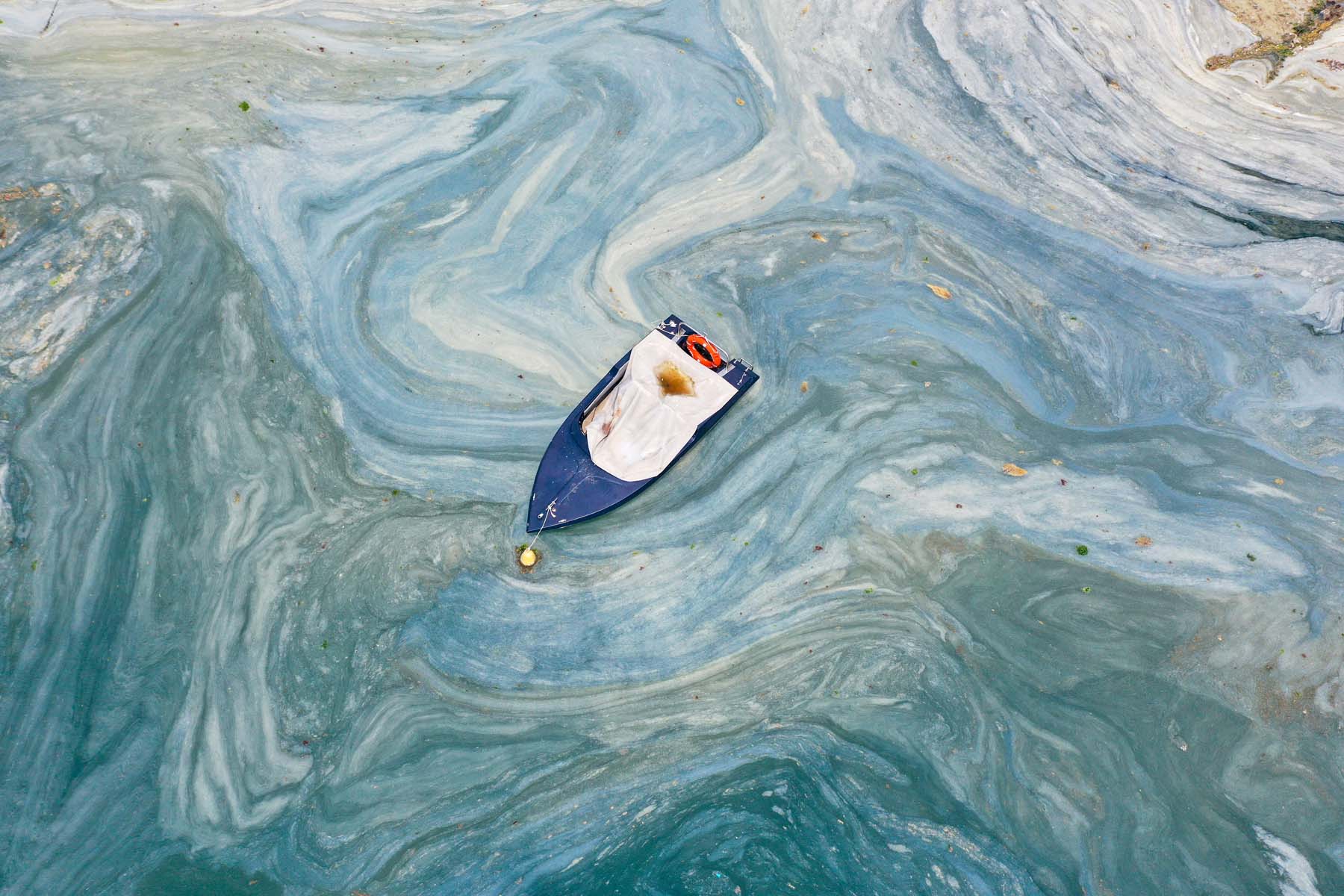 Bakan Kurum'dan kötü haberi verdi! Müsilaj nedeniyle balık ve midye yasağı gelebilir