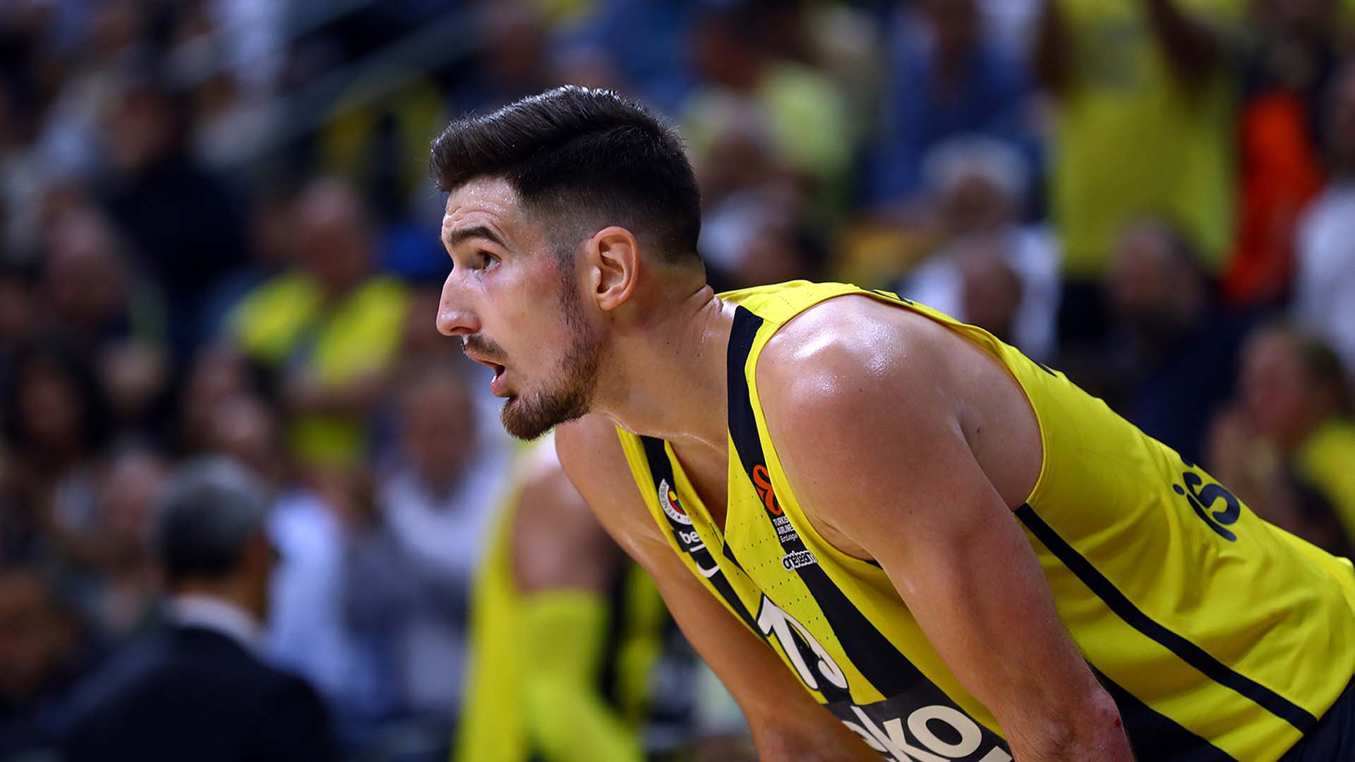 Son dakika | Beklenen oldu: Fenerbahçe Beko, Nando De Colo ile sözleşme uzattı 