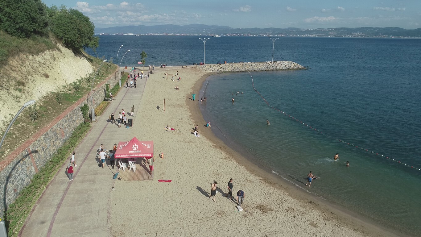 Kabus oraya da sıçradı! Darıca sahillerinde müsilaj alarmı! Denize girmek yasaklandı