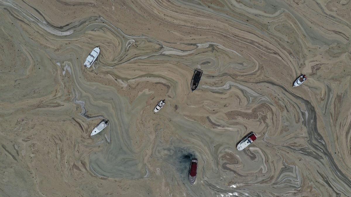 Kabus oraya da sıçradı! Darıca sahillerinde müsilaj alarmı! Denize girmek yasaklandı