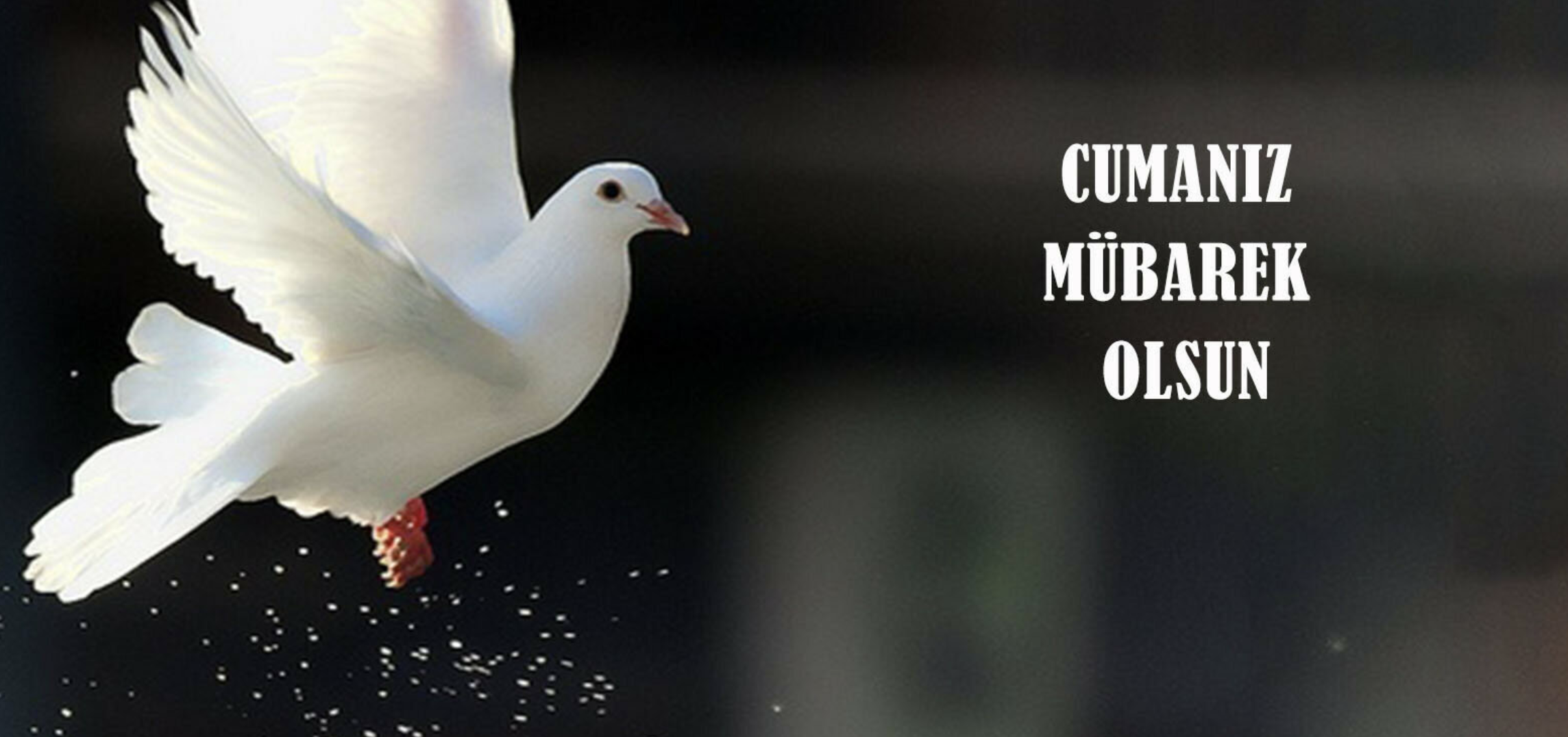 Cuma Hutbesi 25 Haziran 2021! Diyanet İşleri'nin bu haftaki Cuma Hutbesi konusu: Kur'an'ın Manevî İklimiyle Buluşalım