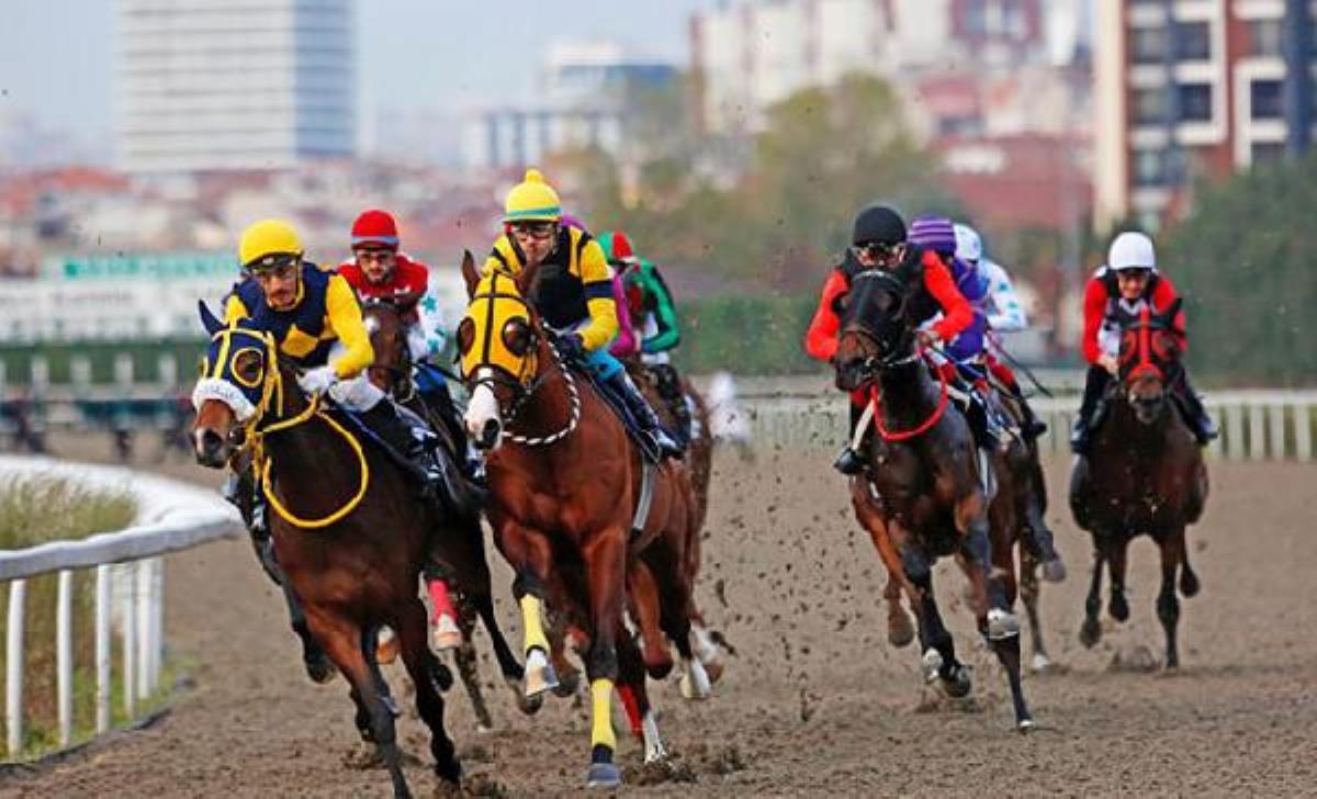 Gazi Koşusu kim kazandı? 95. Gazi Koşusu kazananı kim oldu 2021? Ödülü ne?