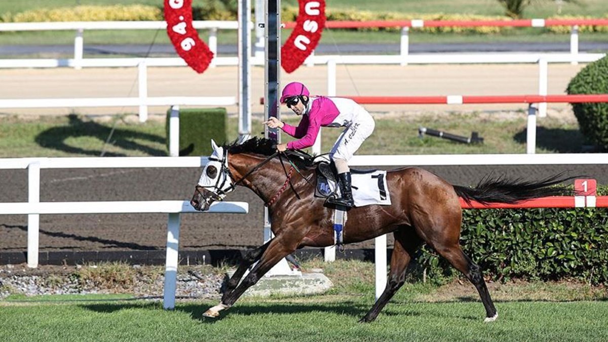 Gazi Koşusu kim kazandı? 95. Gazi Koşusu kazananı kim oldu 2021? Ödülü ne?