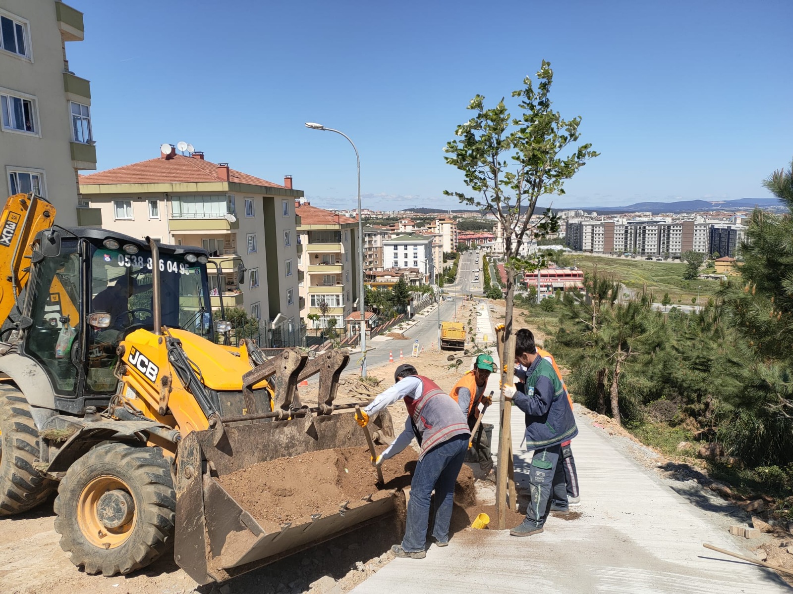Zakkum, ıhlamur, çınar ve erguvan ağaçları... Pendik yeşile bürünüyor