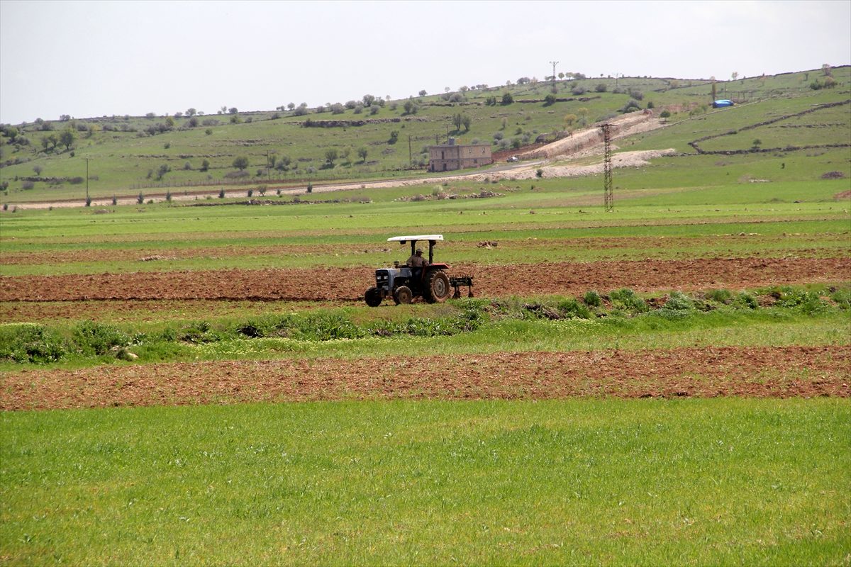 Mardinde kahreden olay! Toprak yüzünden kan aktı! Mera kavgasında baba öldü, oğlu yaralandı