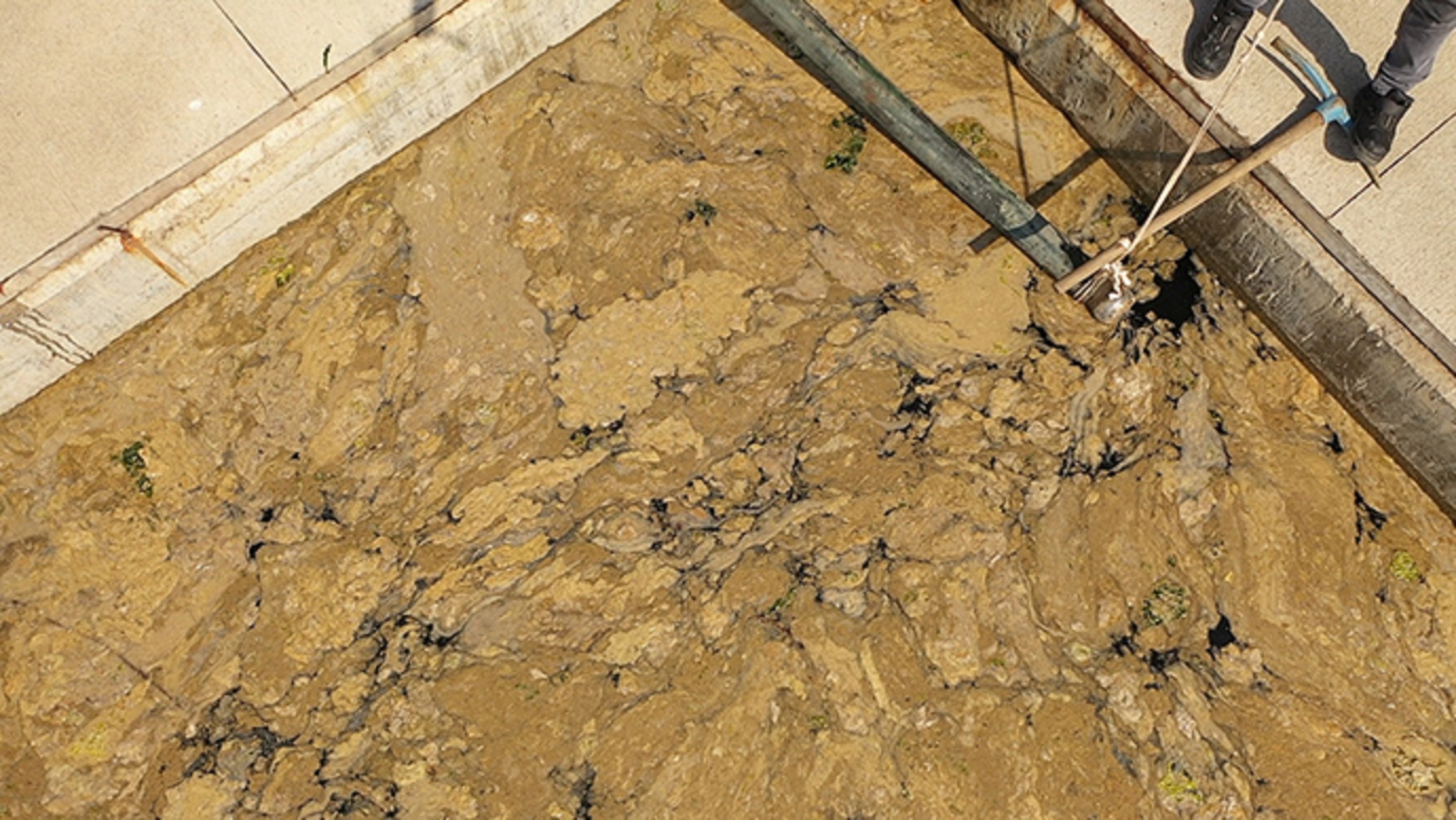 Tuzla'da müsilaj mücadelesi! Dalgaların etkisi ile Tuzla'da kıyıya vurdu, ekipler harekete geçti