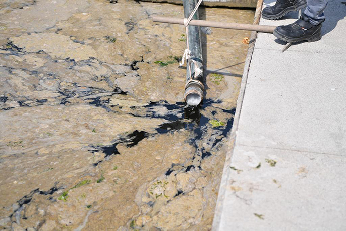 Tuzla'da müsilaj mücadelesi! Dalgaların etkisi ile Tuzla'da kıyıya vurdu, ekipler harekete geçti