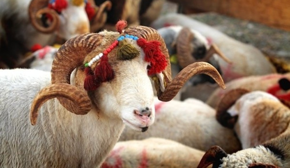 Amcaya, dayıya, enişteye Kurban Bayramı mesajları 2021 | En güzel Kurban Bayramı mesajları