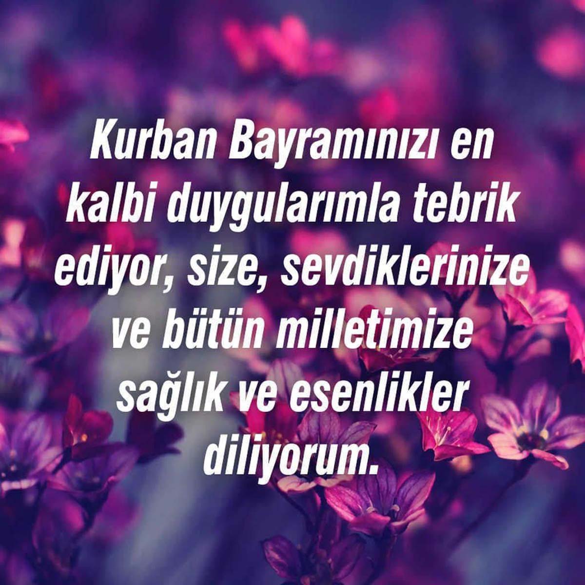 Kurban Bayramı mesajları dualı, hadisli 2021 | Hadisli ve resimli bayram mesajları