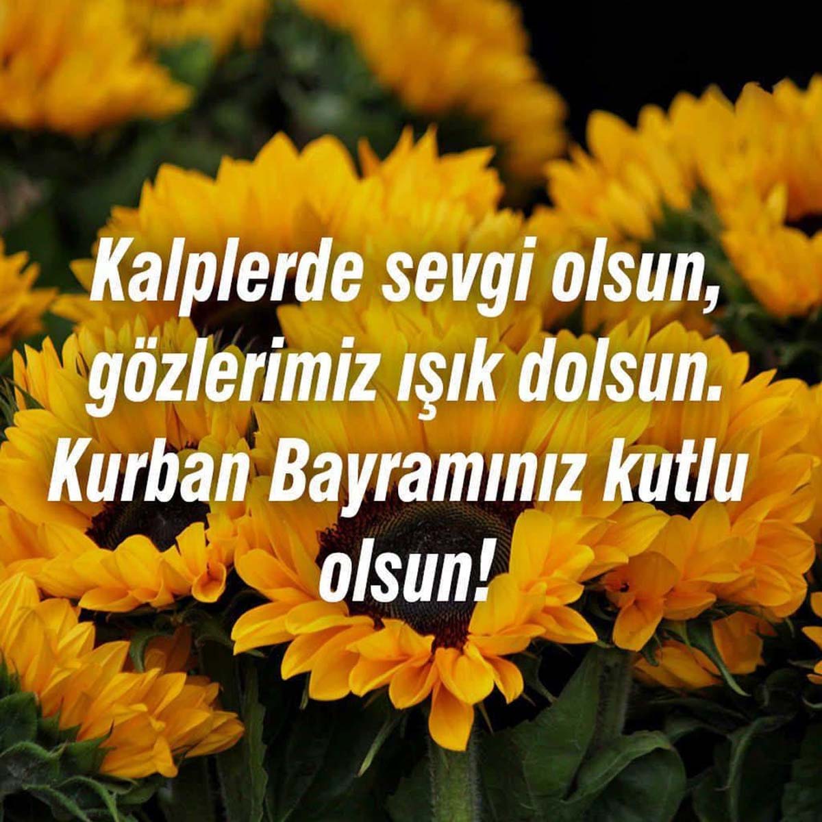 Kurban Bayramı mesajları dualı, hadisli 2021 | Hadisli ve resimli bayram mesajları