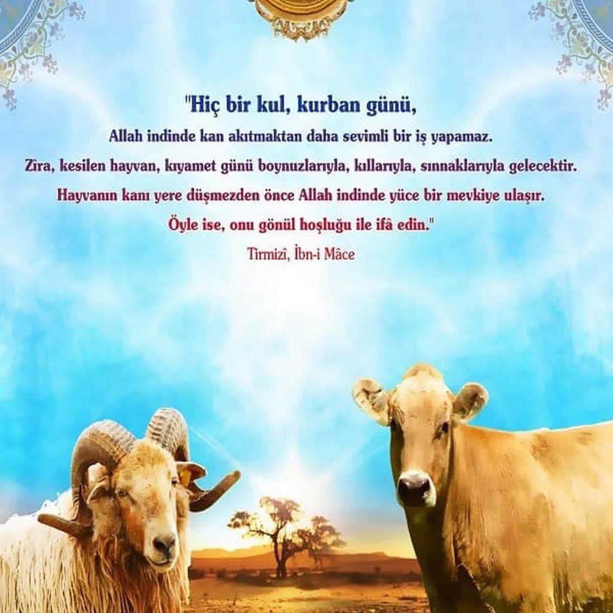 Kurban Bayramı mesajları dualı, hadisli 2021 | Hadisli ve resimli bayram mesajları