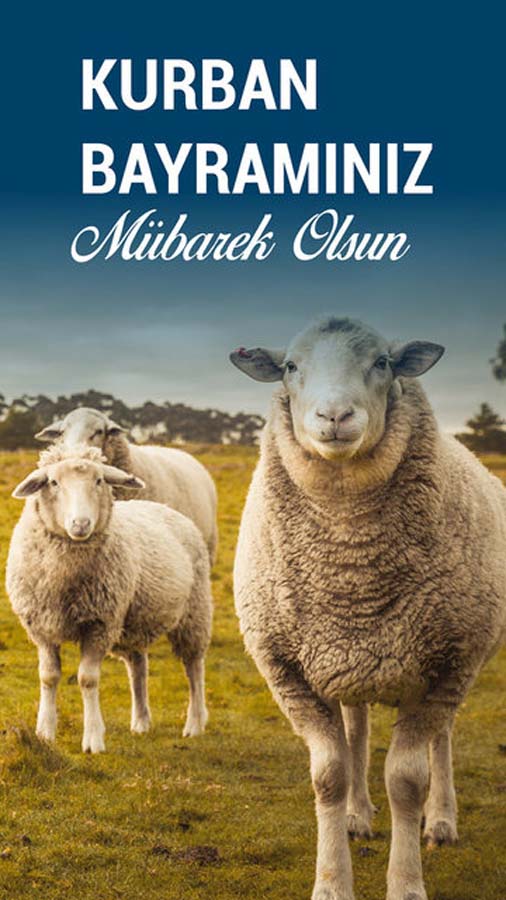 Kurban bayramı ile ilgili güzel sözler görseller 2021 | Resimli kurban bayramı mesajları