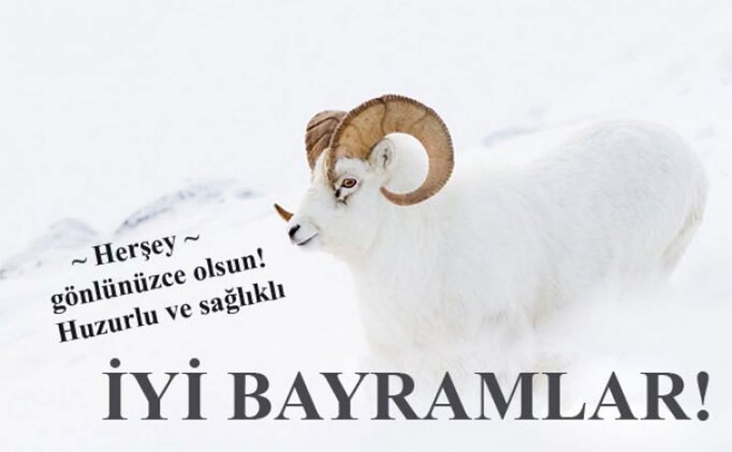 Kurban bayramı ile ilgili güzel sözler görseller 2021 | Resimli kurban bayramı mesajları