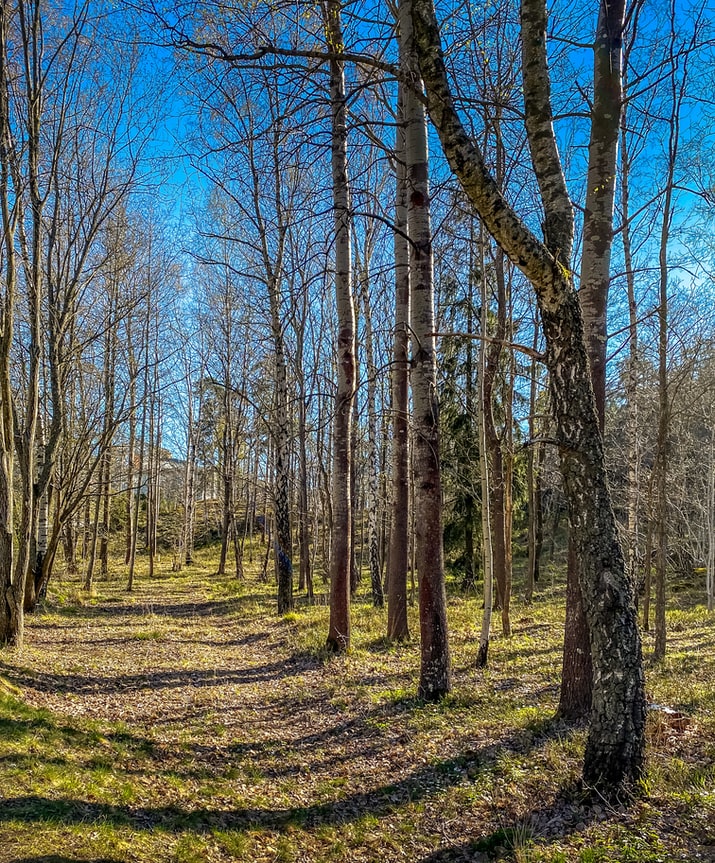 Yaz geldi, yasaklar kalktı, doğa özlemi sona erdi! Vatandaşlar doğa yürüyüşleri ile nefes aldı
