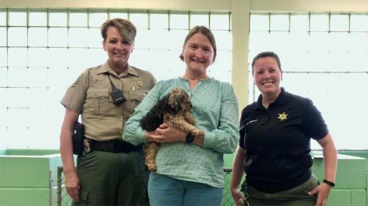 Dile kolay tam 7 yıl! Mutlu sonla biten bir ayrılık hikayesi | Kaybolan köpeğini yıllar sonra kilometrelerce uzakta buldu