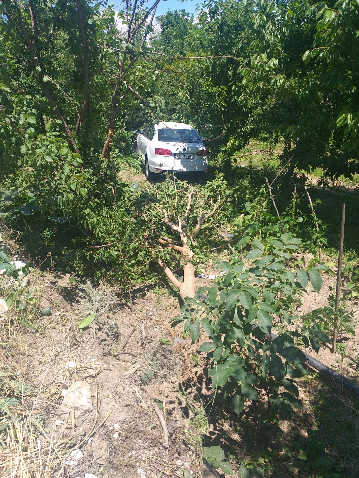 Kaderin böylesi! Ecel onu bahçede yakaladı| Bahçeye dalan otomobil, 74 yaşındaki kadını ezdi