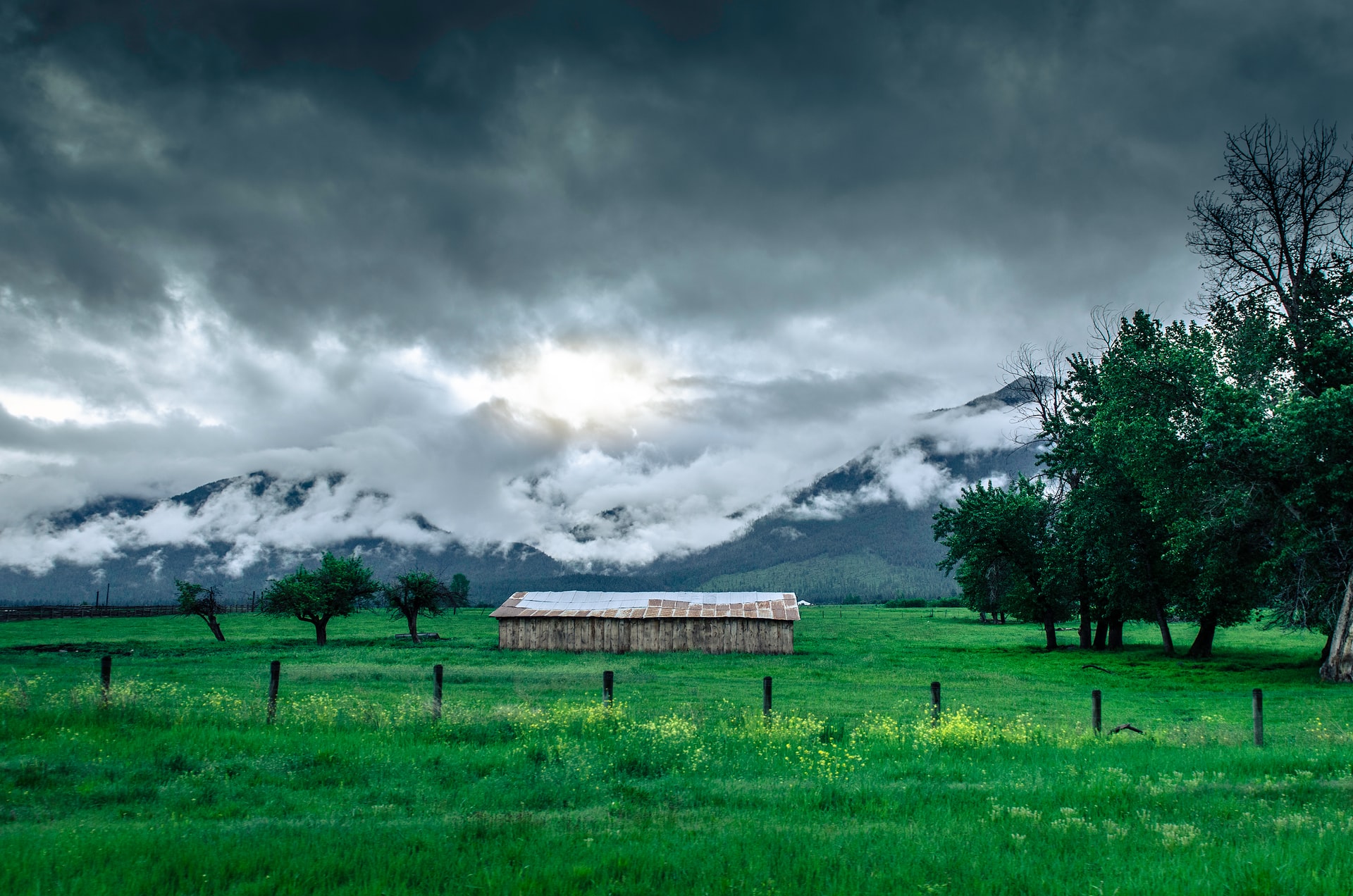 Süper hücre nedir, ne demek? Süper hücre yağışı nedir? Zararlı mı?
