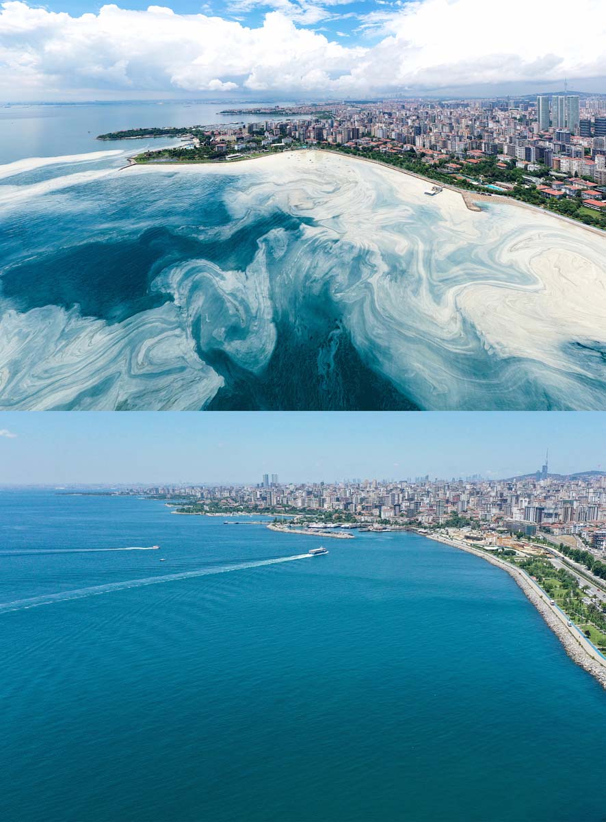 Son dakika | Bakan Kurum güzel haberi verdi: Denizde toplanacak müsilaj kalmadı