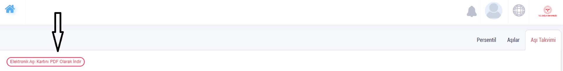 Aşı sertifikası nedir, koronavirüs aşı kartı nasıl, nereden alınır? HES uygulaması, e- Nabız Covid aşı kartı oluşturma ekranı 