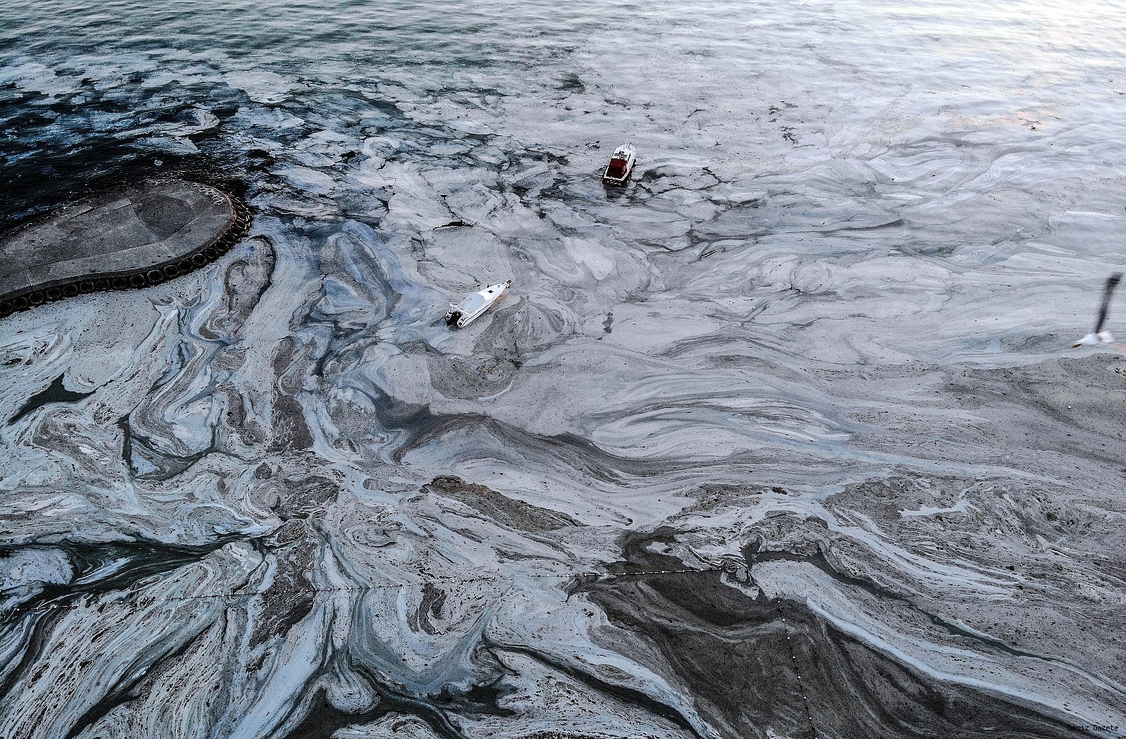 Marmara'da umut veren gelişme! Bakan Kurum açıkladı Temizlenecek miktarda müsilaj kalmadı