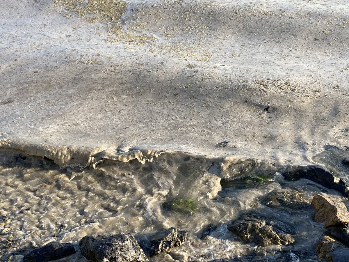 Marmara'da umut veren gelişme! Bakan Kurum açıkladı Temizlenecek miktarda müsilaj kalmadı