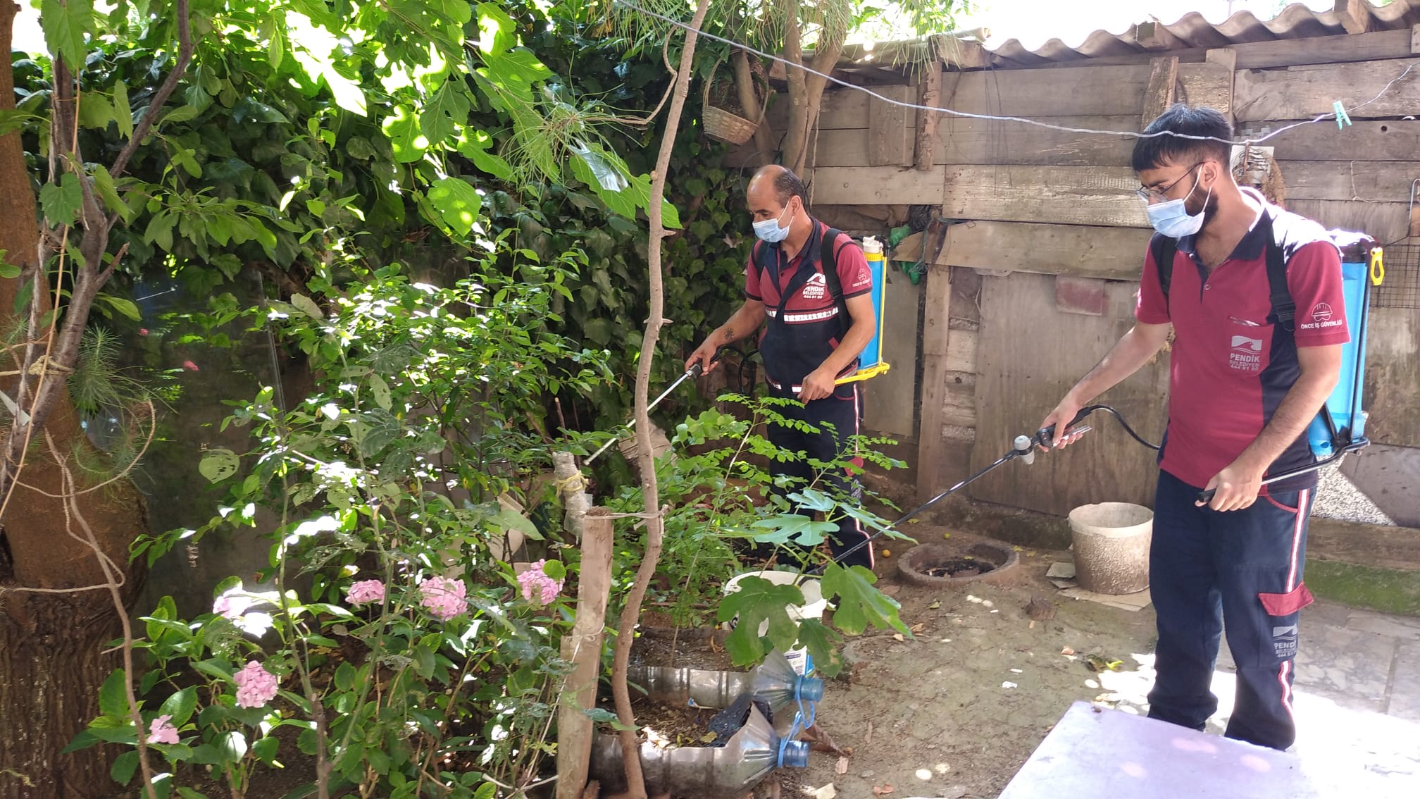 Sinekler yaz gecelerinin kabusu oldu! Pendik Belediyesi 40 personel ile harekete geçti