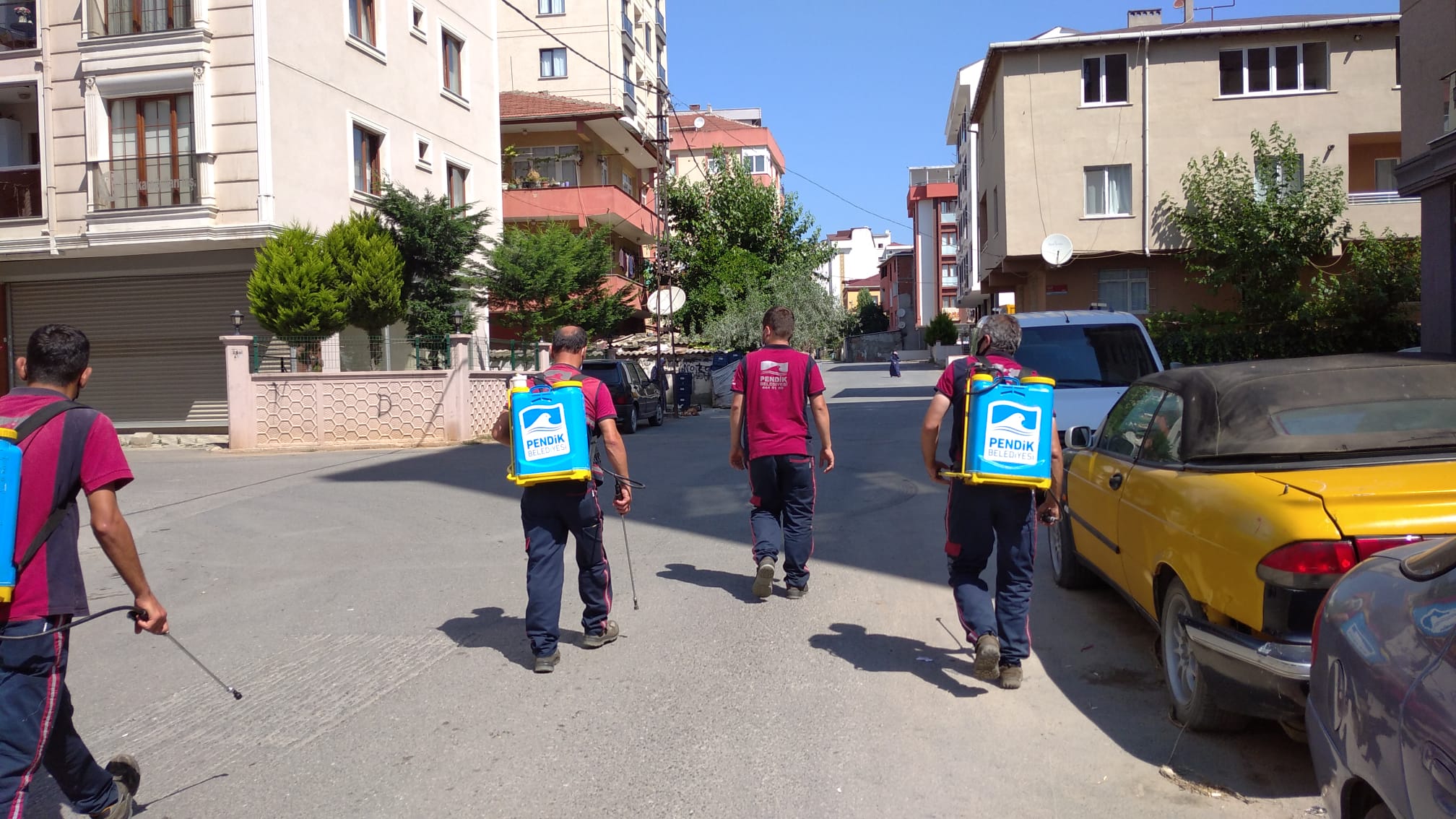 Sinekler yaz gecelerinin kabusu oldu! Pendik Belediyesi 40 personel ile harekete geçti