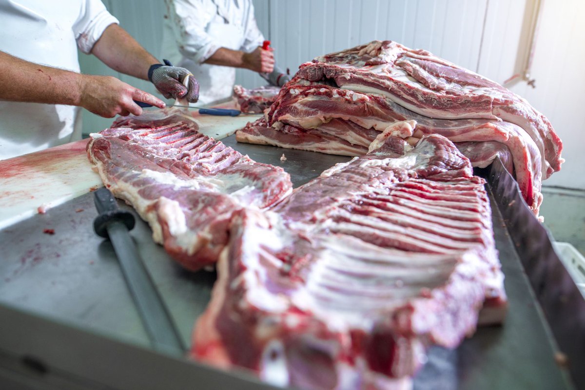 Anne babaya kurbandan pay verilir mi? Kurban eti kimlere dağıtılır?