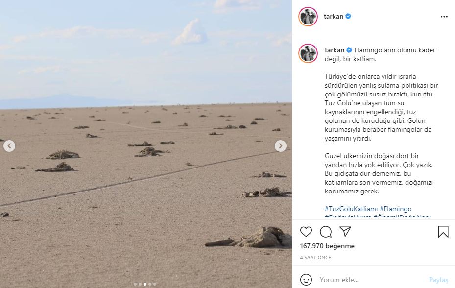 Megastar Tarkan'dan çarpıcı paylaşım: Kader değil, katliam!