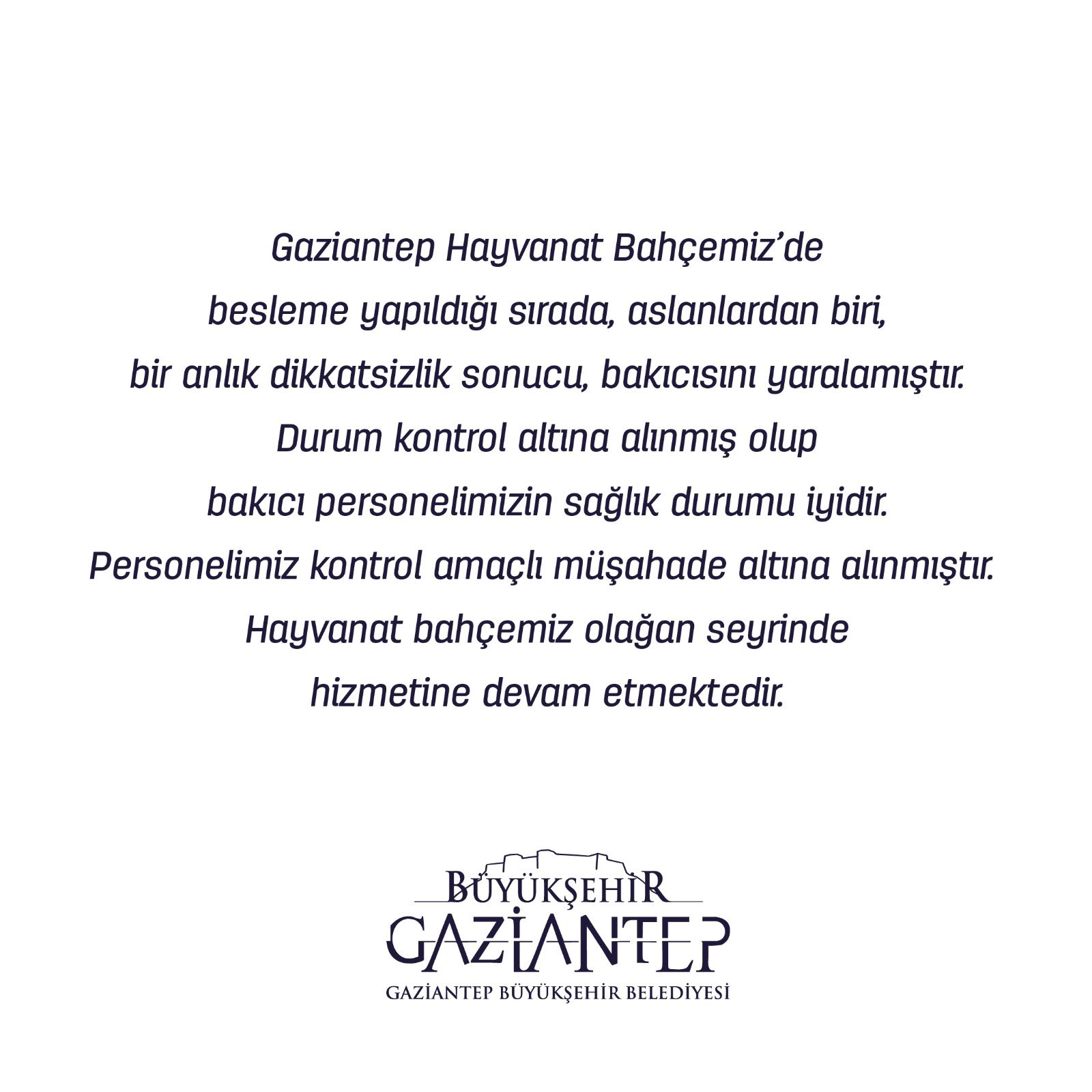 Son dakika | Gaziantep Hayvanat Bahçesinde facianın eşiğinden dönüldü: Kaçan aslan 3 kişiyi yaraladı